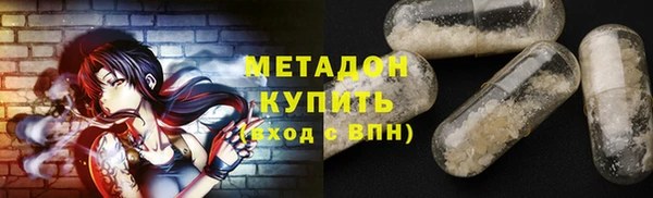прущие грибы Саяногорск