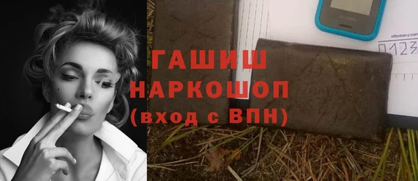 прущие грибы Саяногорск