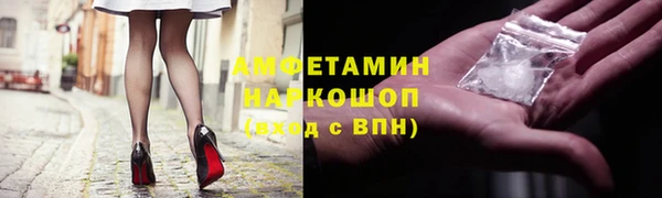 прущие грибы Саяногорск