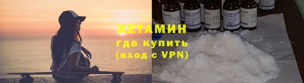 прущие грибы Саяногорск