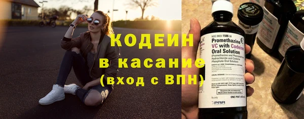 прущие грибы Саяногорск