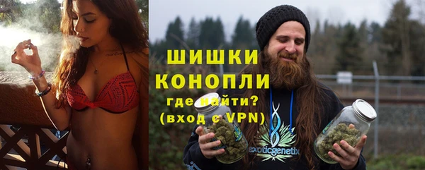 прущие грибы Саяногорск