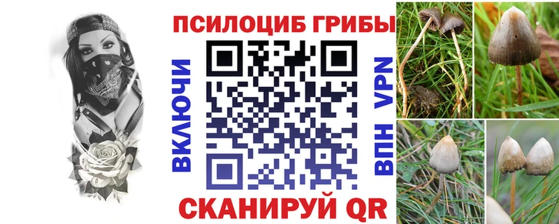 Псилоцибиновые грибы Psilocybe Белинский
